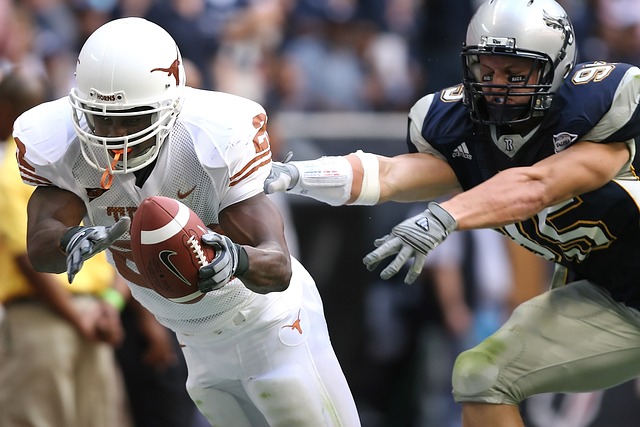 宝贵的财富 宝贵的财富