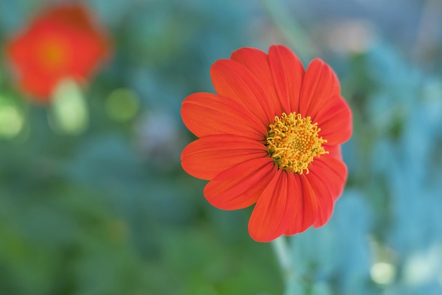 性和团队协 性和团队协