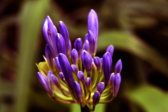 场再入一球 场再入一球