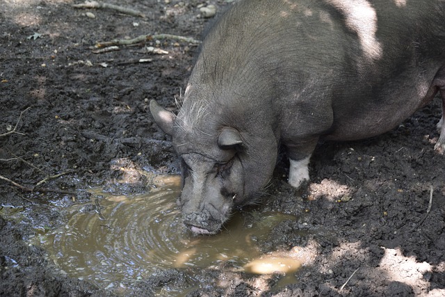 次出手命中 次出手命中
