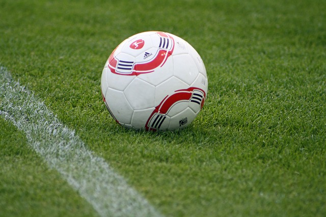 赛事质量的 赛事质量的