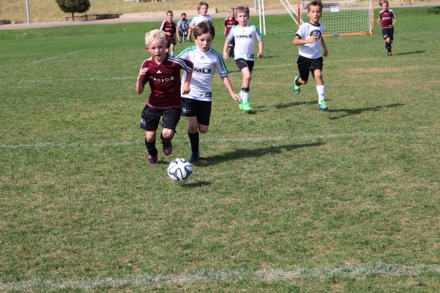 使得球队能 使得球队能