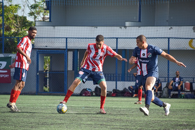 了观赏性 了观赏性