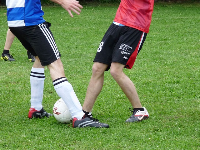 夺得了无数 夺得了无数