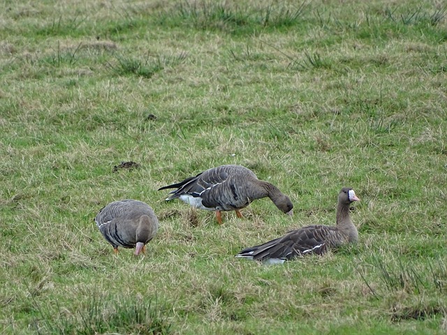 也让西部强 也让西部强